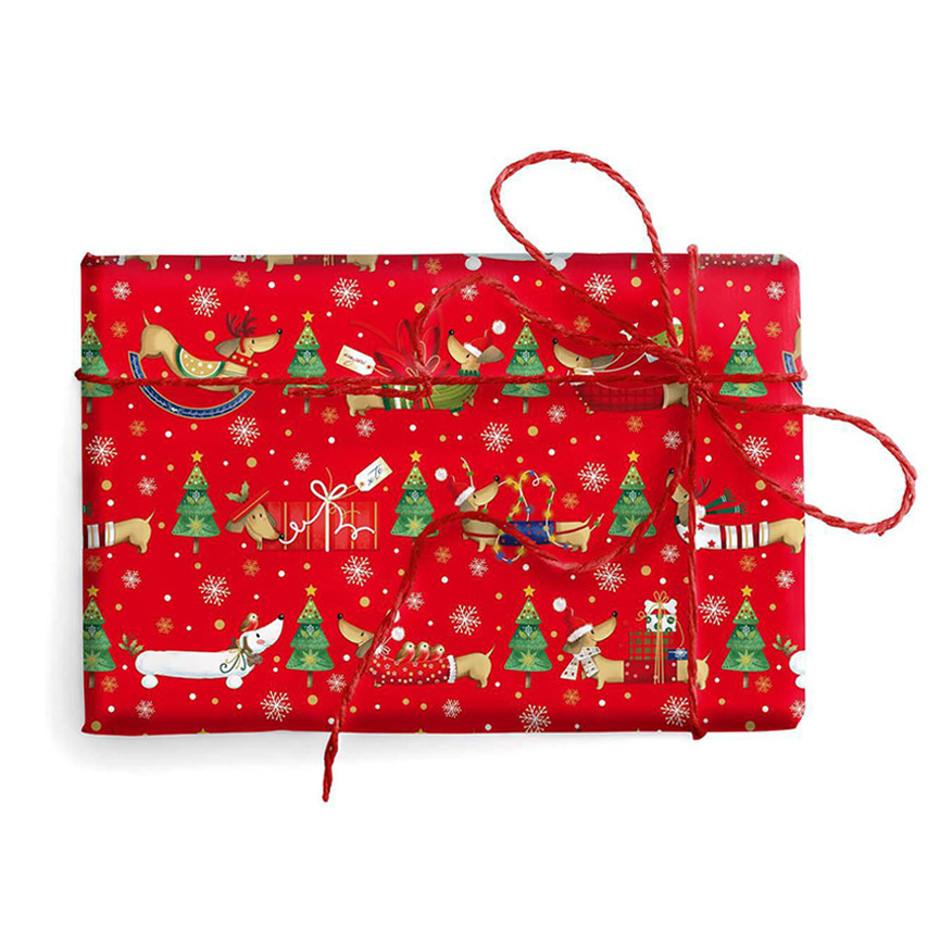 CARTA BS10 FG 100X140 NATALE BIMBI 9430 BASSOTTI