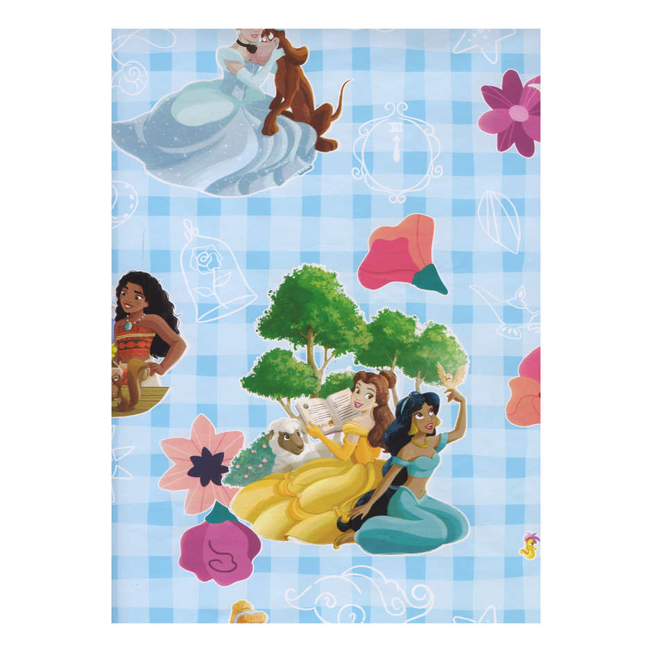 CARTA BS10 FG 70X100 DISNEY PRINCIP.QUAD.BLU 645J
