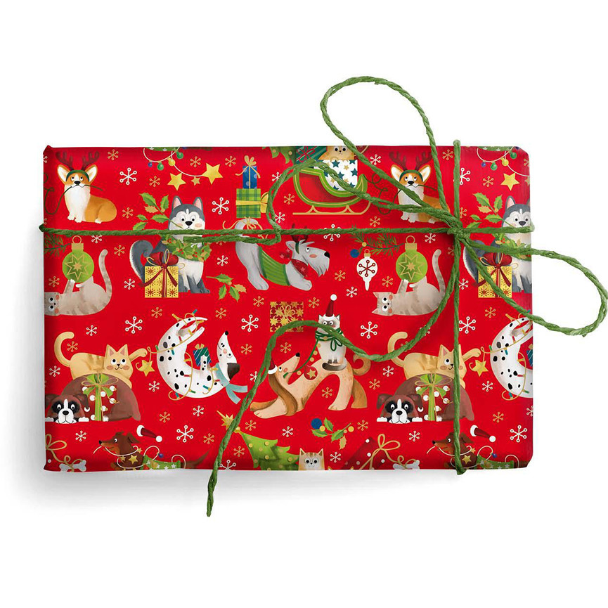 CARTA BS10 FG 70X100 NATALE BIMBI 9497 CANI GATTI