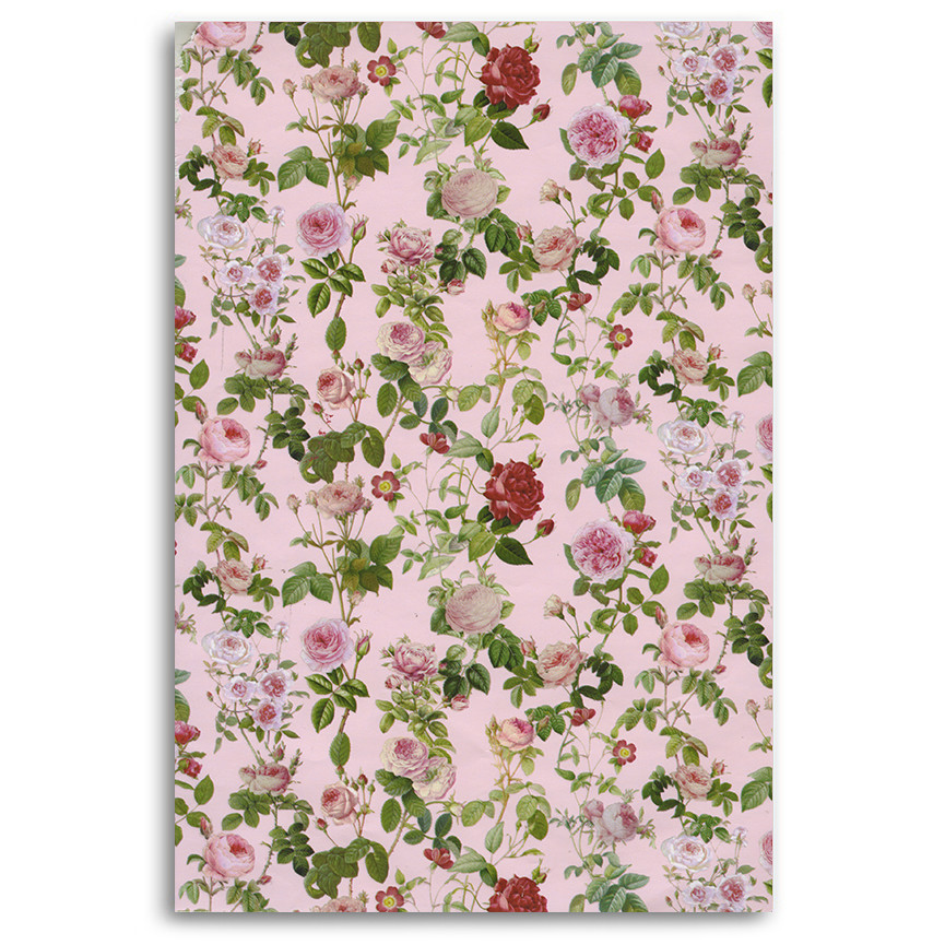 CARTA BS10 FG 70X100 ROSE 003H