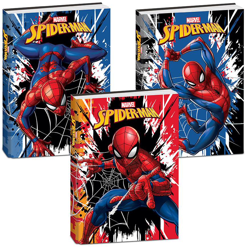 DIARIO 10 MESI SPIDERMAN NON DATATO