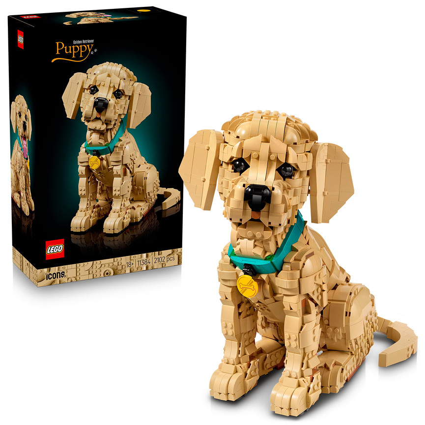 LEGO ICONS CUCCIOLO DI GOLDEN RETRIEVER 11384