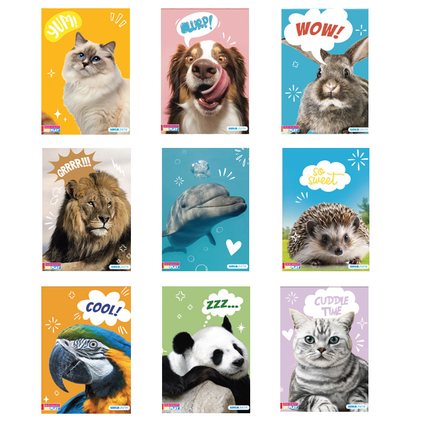 MAXI A 80GR T.UNITA PETS 26