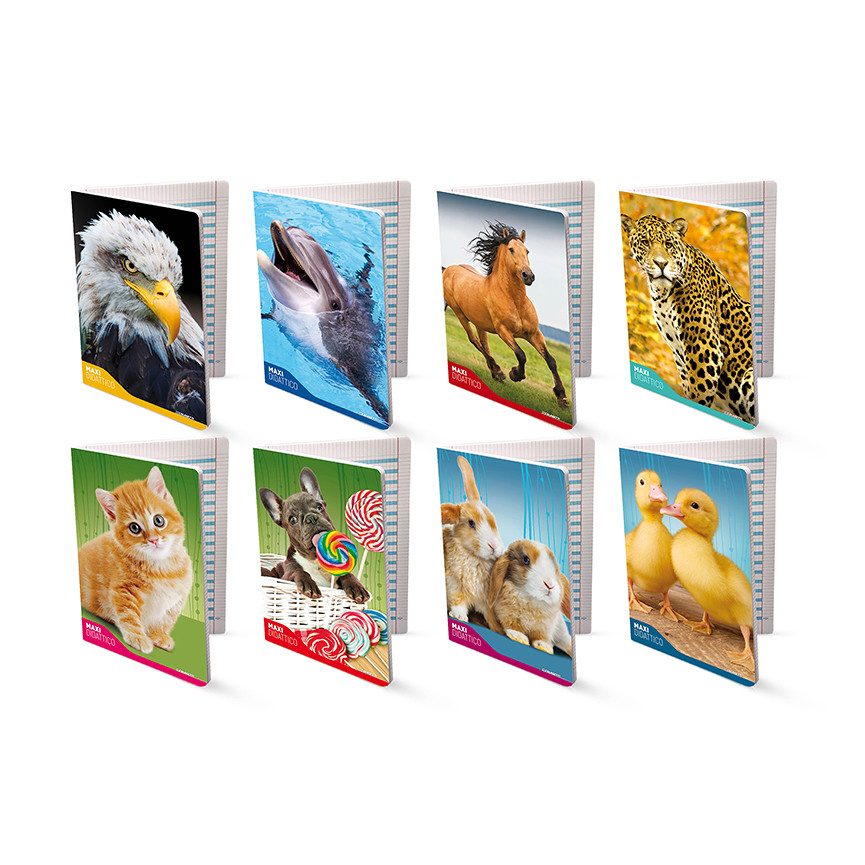 MAXI DIDATTICI DISGRAFICI B CUCCIOLI 100 GR 18+1