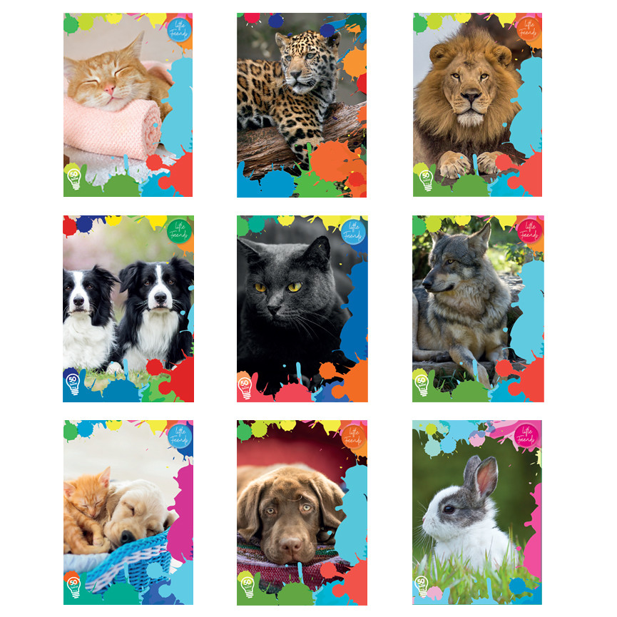 MAXI LITTLE FRIE. B 100G 24+1 COP.250GR 50433 21