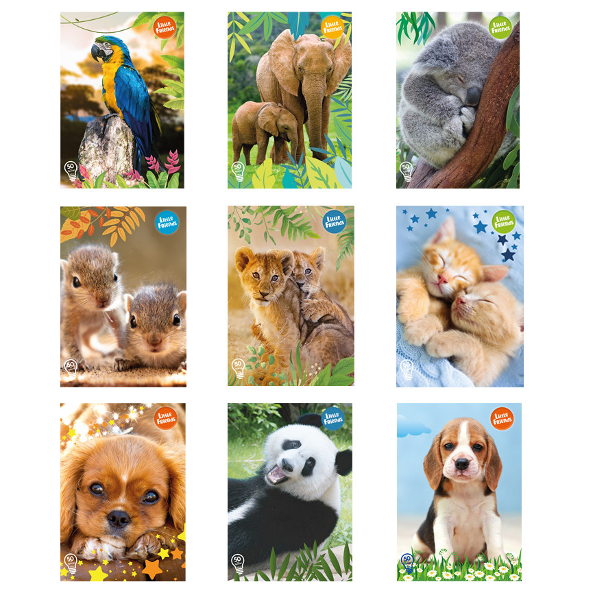 MAXI LITTLE FRIENDS 4M 50 SPECIAL 100GR 51279 22