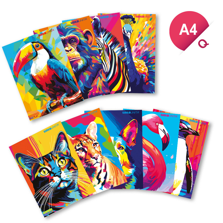 MAXI Q 80GR ANIMAL PLANET