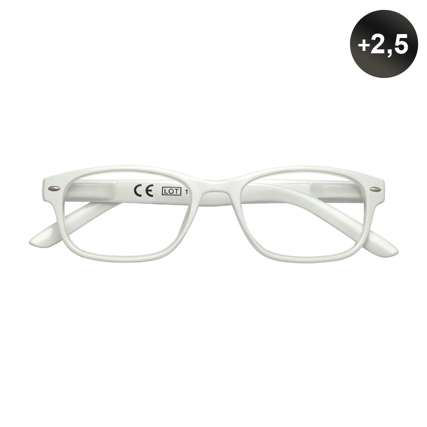 OCCHIALI VISTA +2,5 ZIPPO31Z-B1-MWH250
