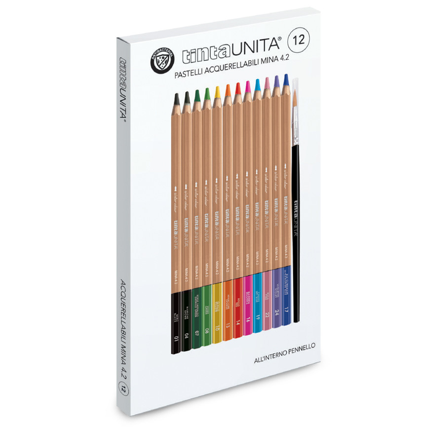 PASTELLI ACQUERELLABILI TINTA UNITA 12 PEZZI ESAG.