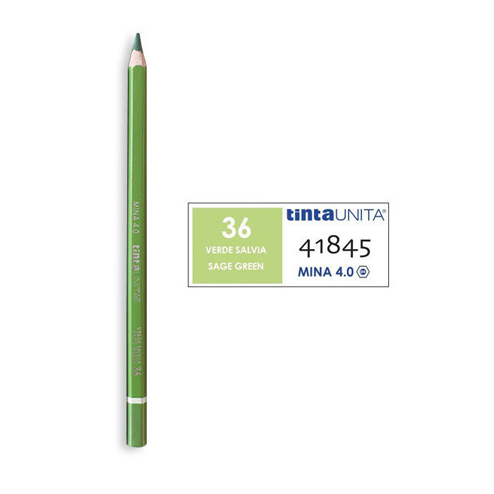 PASTELLI TINTA UNITA 036 VERDE SALVIA